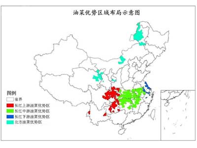 油菜优势区域布局规划(2008-2015年 zouzhi2008 zouzhi2008的