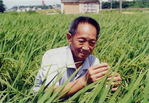 袁隆平为祖国60周年生日献贺礼(图)